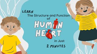 Structure of The Human Heart Class 11 NCERT [upl. by Adikram52]