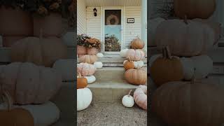 Creative Fall Decor Ideas for Your Front Porch with Pumpkins Outside [upl. by Ellerred931]