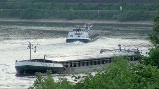 Rheinschiffe und zwei Triebwagen beim Bopparder Hamm Teil 02 von 02 [upl. by Fenwick277]