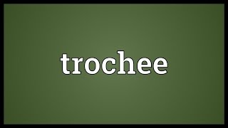 Trochee Meaning [upl. by Anwahsal]