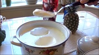 The Best Yogurt Recipe making any amount of Your Favorite Yogurt in 12 Hours  Homemade Yogurt  DIY [upl. by Silvana]