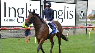 Inglis premier sales underway at Oaklands [upl. by Eerok]