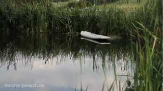 Nikon D7000 Video Summer Day [upl. by Loftis]