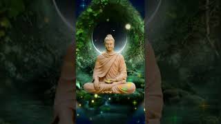 need na aane ke karan  viral video  namo budhay namah 🌺 🙏 ❤️❤️❤️❤️❤️❤️🙏👍 [upl. by Efeek473]