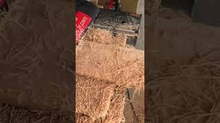 How Do You Stop This Old Planer No Stopping woodworking western red cedar [upl. by Tcideneb272]