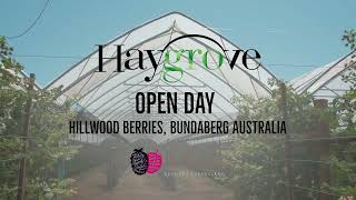 Haygrove Open Day at Hillwood Berries [upl. by Anoli]