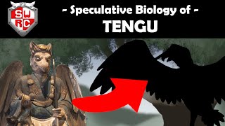 Speculative Biology of Tengu Japanese Folklore Spec Evo [upl. by Hudgens693]