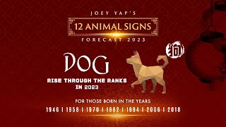 2023 Animal Signs Forecast Dog Joey Yap [upl. by Airtemak]