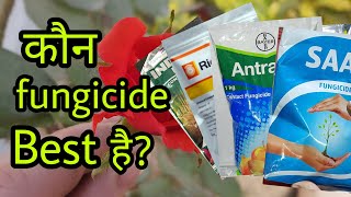 जानिए कौन सा फफूंदनाशी fungicide हमारे पौधे के लिए बेस्ट है how to the best fungicide for plant [upl. by Emeline]