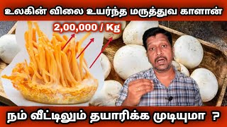 World Costliest Cordyceps Militaris Mushroom In Tamil I விலை உயர்ந்த காளான் I RAVIKUMAR I SR I Tamil [upl. by Anilorac362]