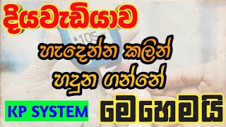 දියවැඩියාව හැදෙන්න කලින් හදුනා ගමු [upl. by Ainit359]