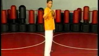 Marc Canonizados Basic Kicks and Extreme Tricks Teaching Spin Kicks [upl. by Rawdan835]