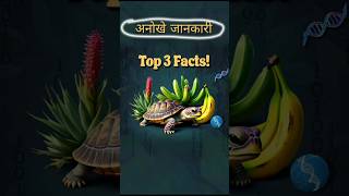 Top 3 facts anokhe jankari facts shortsvideo jankariya रोचकfacts [upl. by Enelcaj279]