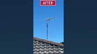 Expert TV Antenna Installation Repair and Wall Mounting Services in Sydney antennatv shorts [upl. by Ettellocin]