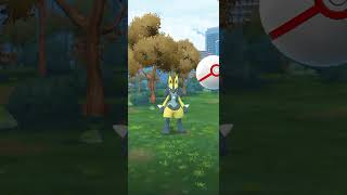 shiny Lucario mega evolution in pokemon go shinymegalucari [upl. by Fanechka642]