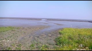 Weltnaturerbe Wattenmeer [upl. by Onirotciv]