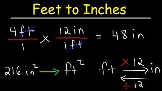 How To Convert Feet to Inches and Inches to Feet [upl. by Tichon]