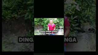 Dinga Dinga song shorts yt short funny [upl. by Charline86]