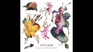 Zwicker  Sleepwalking feat Jamie Lloyd [upl. by Toni136]