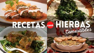 Recetas con hierbas comestibles  Platillos mexicanos tradicionales  Cocina Vital [upl. by Orlov740]