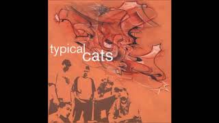 Typical Cats  Snake Oil Instrumental Prod by DJ Natural [upl. by Dnomar294]