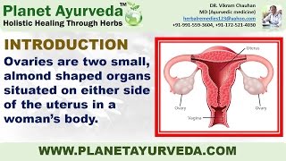 Ovarian Cyst  Types Causes Symptoms amp Ayurvedic Treatment [upl. by Cirre]