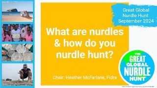 The Great Global Nurdle Hunt 2024  What are nurdles and how to nurdle hunt [upl. by Coumas]