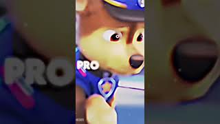 Paw Patrol Movie edit [upl. by Ateuqram790]