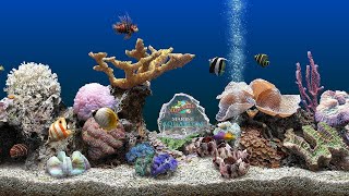 Marine Aquarium Screensaver 4K UHD [upl. by Fritz]