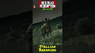 Stallion Breaking  Red Dead Redemption [upl. by Anai]