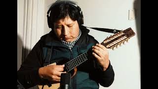 EL DURAZNERO Cover charango [upl. by Mord541]