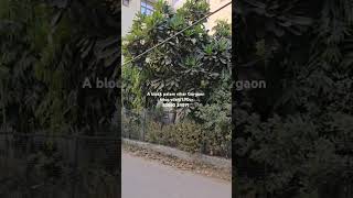 A block palam vihar Gurgaon  66sqyds  190cr  Gurgaon dream vlogs gurgaon realestate [upl. by Gnaig921]