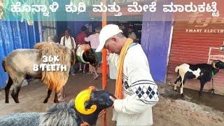 Honnalli sheep and goats market update Every Wednesday morning bazar Karnataka India [upl. by Bonaparte]