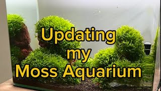 Moss Aquarium update aquarium aquascaping fishtank [upl. by Verene]