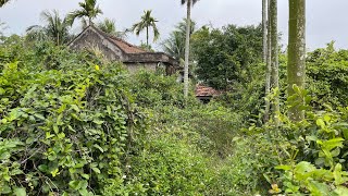 Terrified 700 m2 house 100 years old abandoned overgrown trees  SHOCKING CONVERT after we clean [upl. by Kynan]