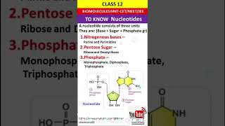 nucleosidebiomoleculespyq [upl. by Carmencita]