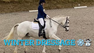 Winter dressage Prelim 18 and Novice 24 ☃️❄️ [upl. by Chun]