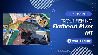 Fly Fishing the Flathead River  Glacier National Park  4K Video [upl. by Feodore]