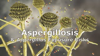 Aspergillosis and Aspergillus Exposure Risks [upl. by Yhotmit]