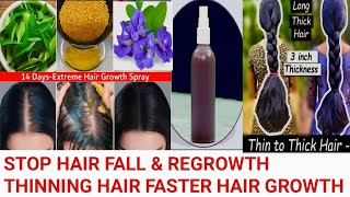 Stop hair fall amp Thick Long hair growth shiny spary powerfull homemade hair growth Toner [upl. by Lynett]