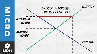 Price Floors The Minimum Wage [upl. by Friedland959]