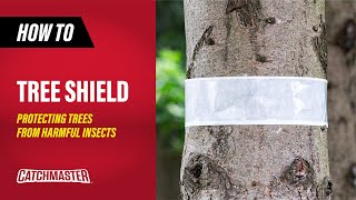 Protecting Trees From Harmful Insects  Catchmaster Tree Shield Insect Adhesive Barrier [upl. by Mohr]