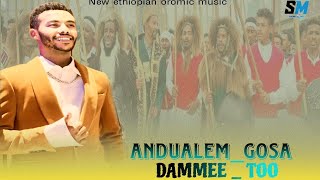 Andualem GosaNew MusicDAMMEE2024 [upl. by Nema]