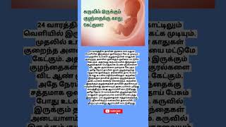 24 வாரத்தில் வயிற்றில் உள்ள குழந்தைக்கு காது கேட்குமா [upl. by Thagard]