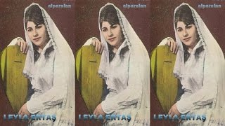 Leyla ERTAŞ  DERT BİR DEĞİL ELVAN ELVAN [upl. by Bibbye]