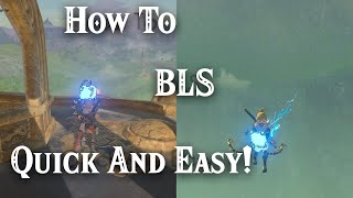 Quick And Easy BLS  BLSS Tutorial [upl. by Fionnula]