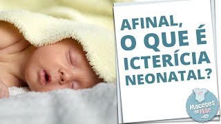 ICTERÍCIA NEONATAL É PERIGOSO  MACETES DE MÃE [upl. by Ellehsal103]