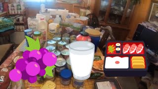 Scored Big At Walmart And Food Lion  Check Out My Haul [upl. by Erda]