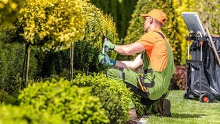 Experts in beautifying the yard [upl. by Auhoj414]