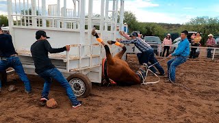 Carreras de Caballos en Cucurpe 25 Junio 2022 [upl. by Reteid554]